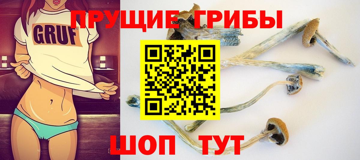 Галлюциногенные грибы Cubensis  Вход с VPN  Нижний Тагил 